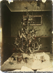 作品画像:(クリスマス・ツリー)