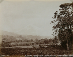 作品画像:富士山
