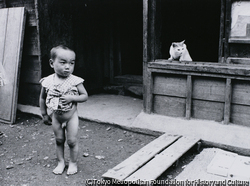 作品画像:猫と少年