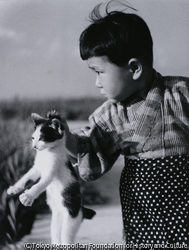 作品画像:猫だよ