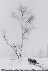 作品画像:雪景