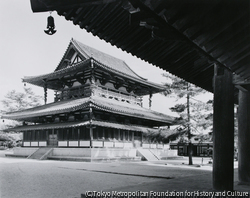 作品画像:法隆寺 金堂、西南面