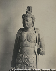 作品画像：薬師寺 十一面観音像 (1)