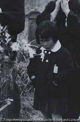 作品画像: