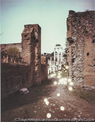作品画像:Foro Romano 1 (Roma)