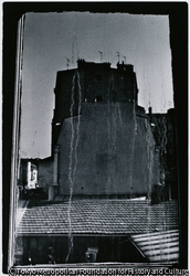 作品画像: