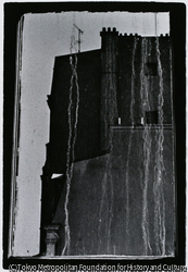 作品画像：