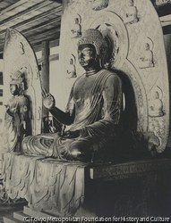 作品画像：薬師寺 薬師如来像 (2)