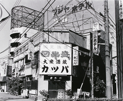 作品画像:無題
