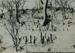 作品画像:白い墓地
