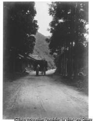 作品画像:田舎道