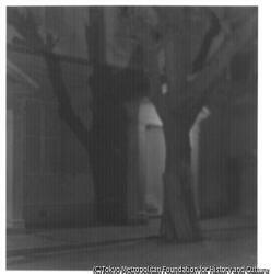 作品画像:(街並と木)