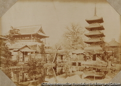 作品画像:(浅草寺)