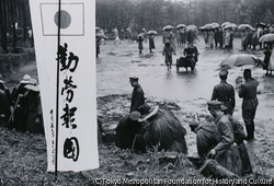 作品画像: