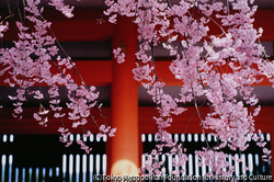 作品画像:平安神宮