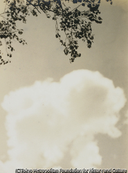 作品画像:(木と雲)