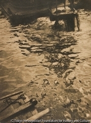 作品画像:(水紋)