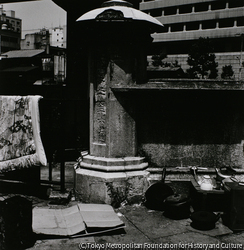 作品画像: