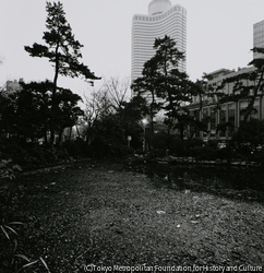 作品画像: