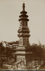 作品画像: