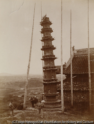 作品画像: