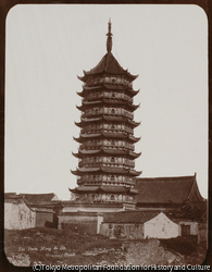 作品画像: