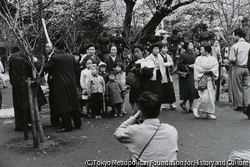 作品画像:上野公園
