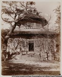 作品画像: