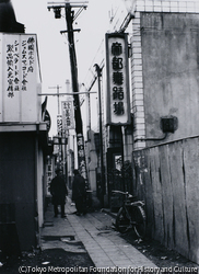 作品画像: