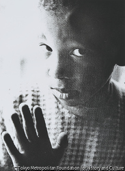 作品画像: