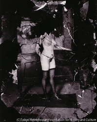 作品画像: