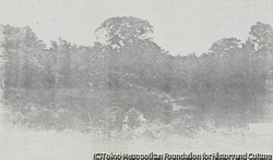 作品画像:田名のホテルからの風景