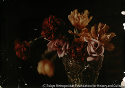 作品画像:(静物、花)
