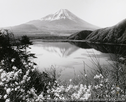 作品画像:湖畔の春 本栖湖