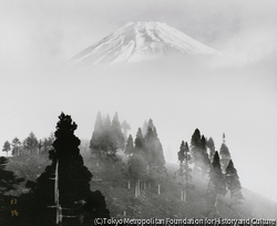 作品画像:朝霧 越前愛鷹山