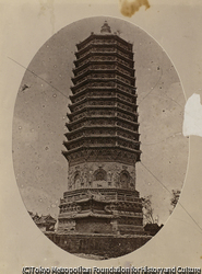 作品画像: