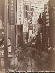 作品画像: