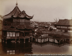作品画像: