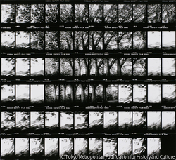 作品画像:Imagery72*84015