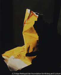 作品画像:紙の造型 No.5