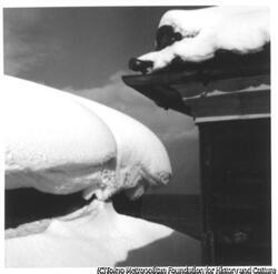 作品画像:(雪景)