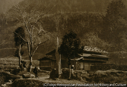 作品画像:春光