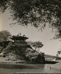 作品画像:訪花随柳亭、水原
