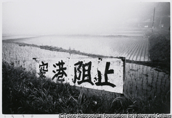 作品画像：空港阻止