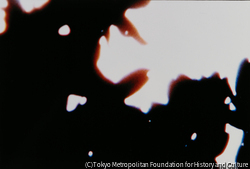 作品画像: