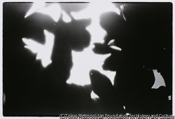 作品画像: