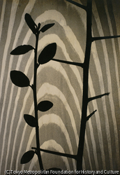 作品画像:生成の構成 1951.1952