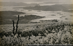 作品画像：佐世保 1952