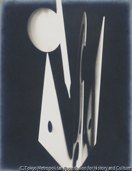 作品画像:
