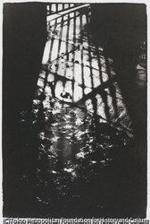 作品画像: